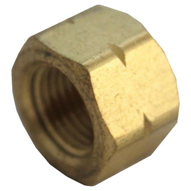3/4 in. FPT Brass Cap