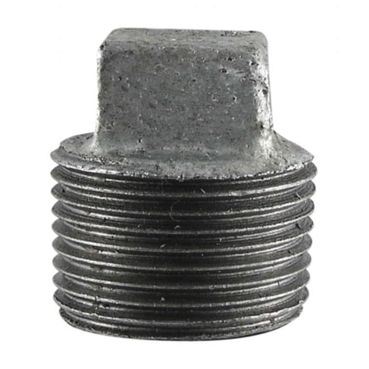 STZ Industries 2 in. MIP each Galvanized Malleable Iron Plug