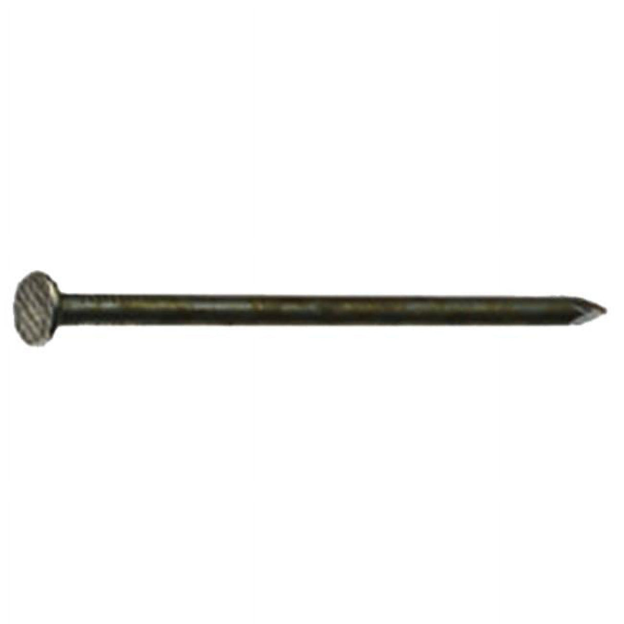 Grip-Rite 6D 2 in. Common Hot-Dipped Galvanized Steel Nail Flat Head 5 lb