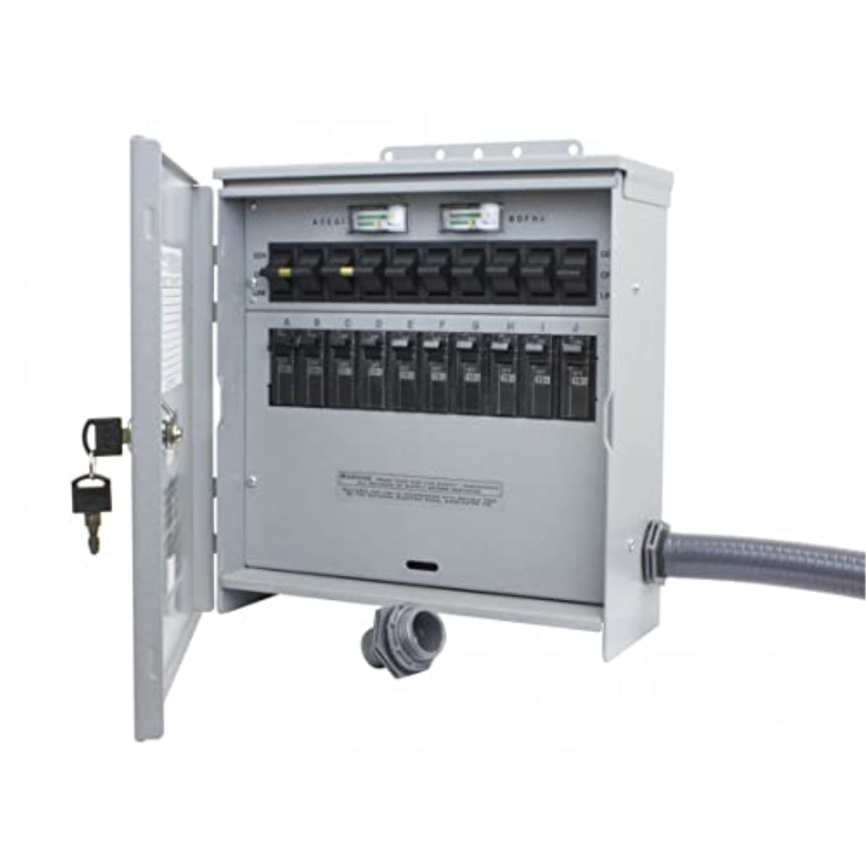 Reliance Controls Pro/Tran 2 30 amps 125 V 10 space 10 circuits Transfer Switch Kit