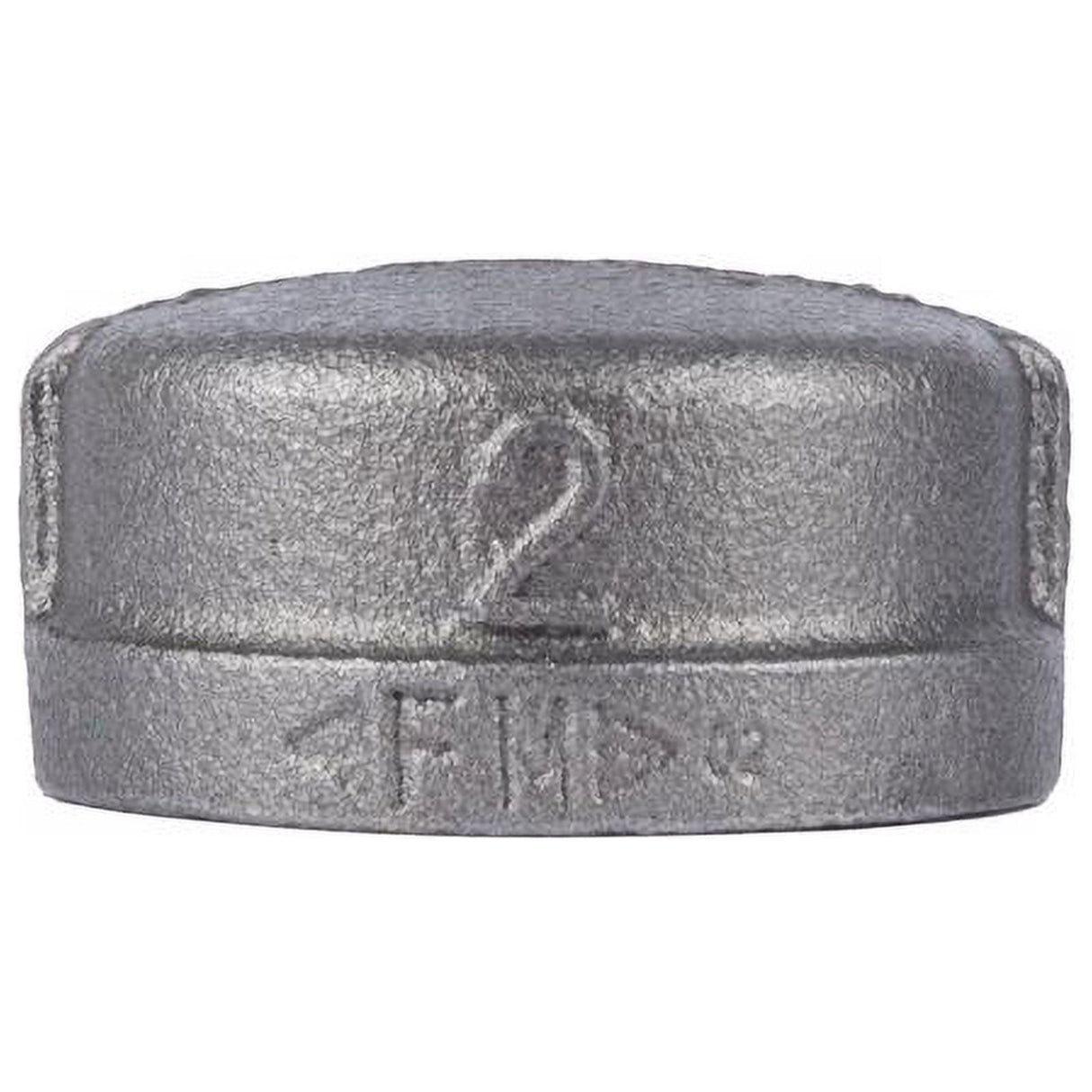 STZ Industries 2-1/2 in. FIP each Black Malleable Iron Cap