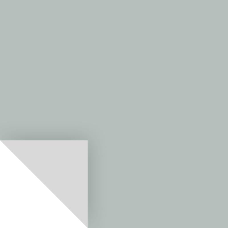 Samplize Benjamin Moore Beach Glass Peel & Stick Color Sample 1564