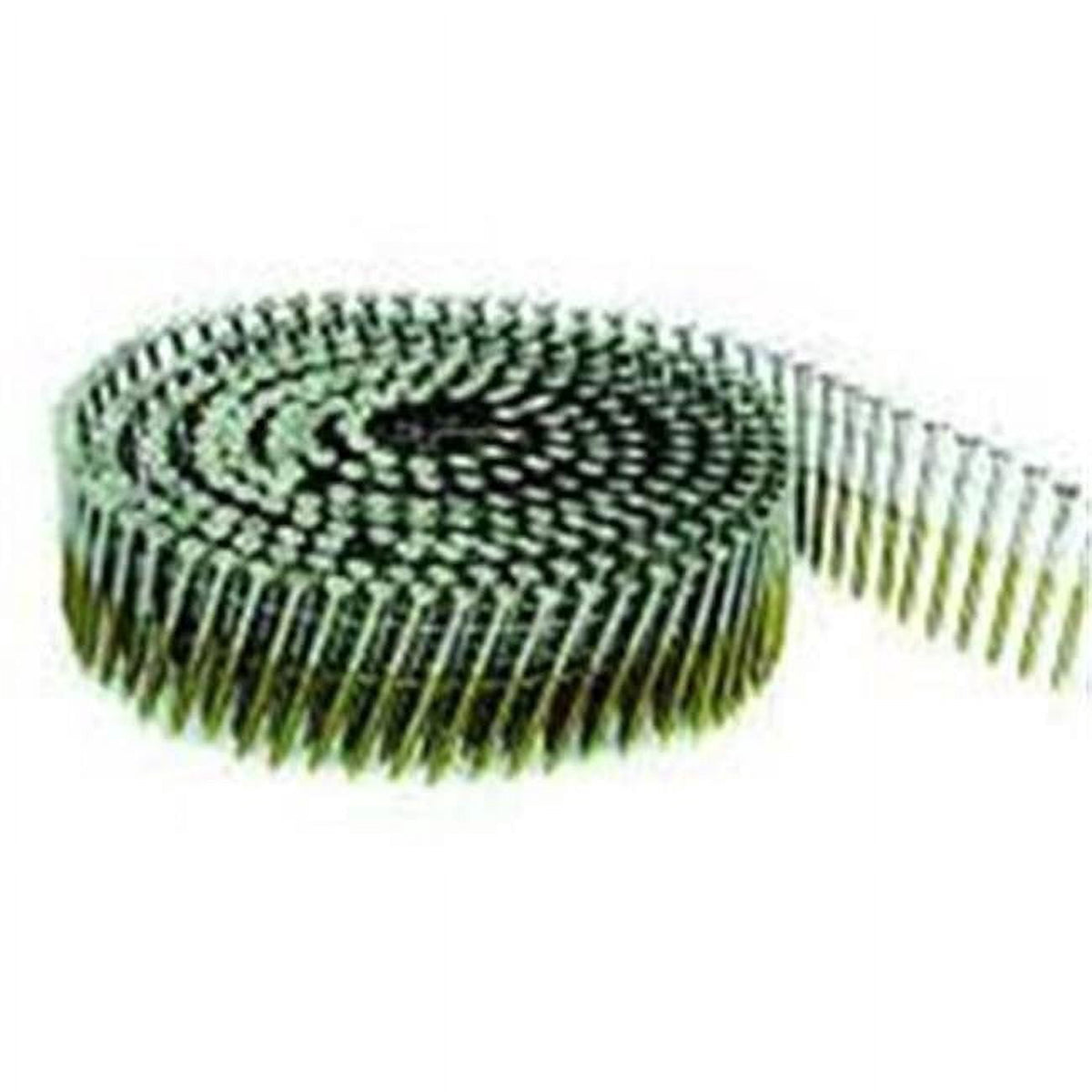 Bostitch 2-1/2 in. L X 16 Ga. Wire Coil Stainless Steel Siding Nails 15 deg 3,600 pk