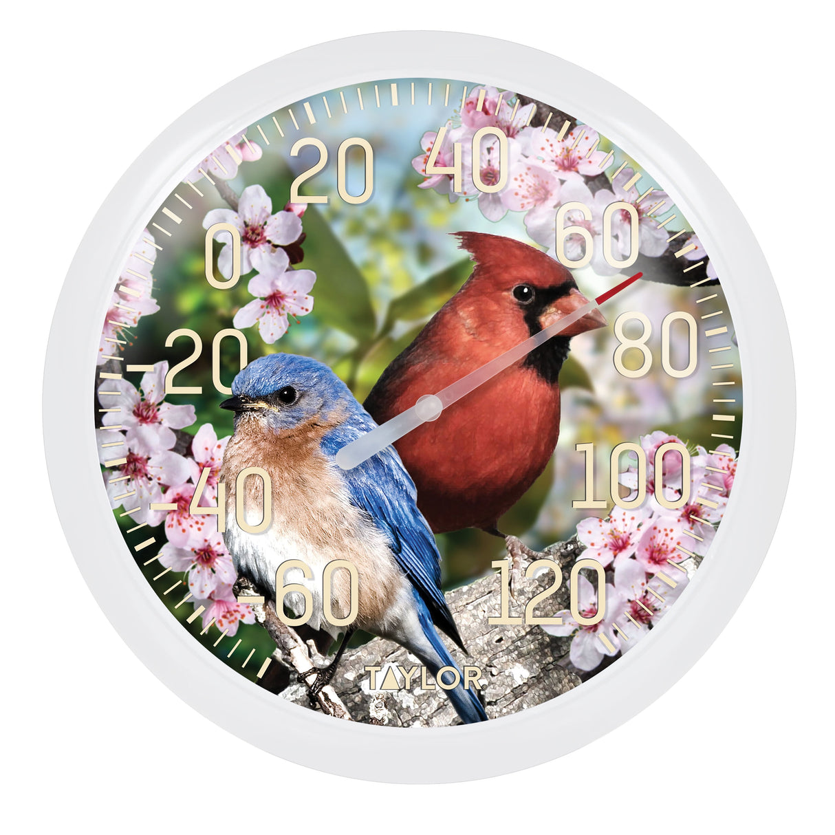 Taylor Cardinal/Blue Bird Dial Thermometer Plastic Multicolored 13.25 in.