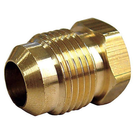 1/2 in. Flare Brass Hex Plug