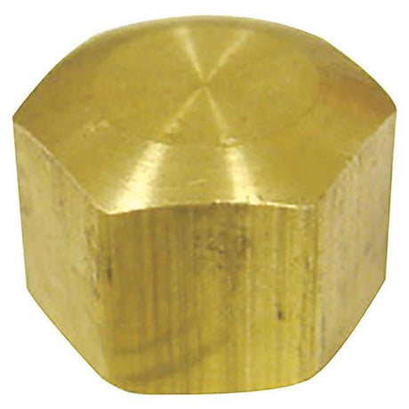 1/4 in. Compression Brass Cap