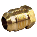 1/4 in. Flare Brass Hex Plug