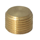 1/4 in. MPT Brass Counter Sunk Plug