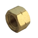 1/8 in. FPT Brass Cap