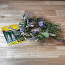 The Original Super Glue Future Glue Super Strength All Purpose Super Glue 2 pk