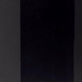 Rust-Oleum Imagine Smooth Chrome Black Spray Paint 10 oz