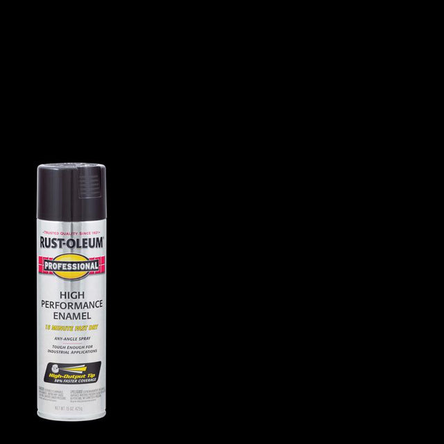 SPRYPAINT PRO GL BLK15OZ
