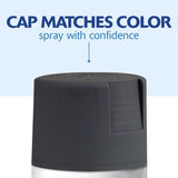 Rust-Oleum Painter's Touch 2X Ultra Cover Satin Charcoal Gray Paint+Primer Spray Paint 12 oz