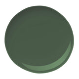 Beyond Paint Matte Forest Green Water-Based Paint Exterior and Interior 1 pt