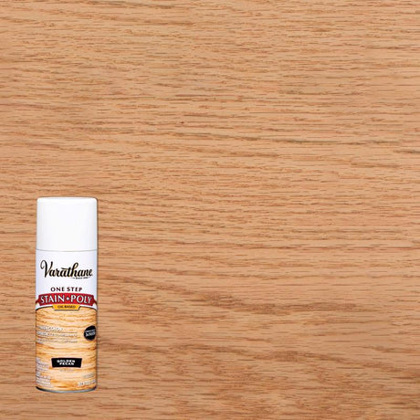 STAIN&POLY SPRAY 12OZ