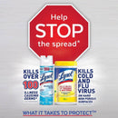 Lysol Dual Action Fiber Weave Antibacterial Wipes 75 pk