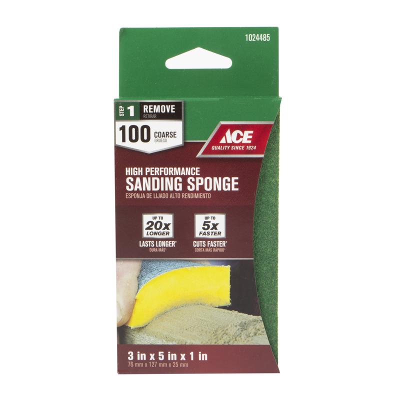 SANDNG SPONGE 100GRT 1PK