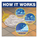 Mr. Clean PRO Lemon Scent Floor Cleaner Liquid 1 gal