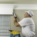 DAP Alex Fast Dry White Siliconized Acrylic Latex Windows/Doors/Seal/Paint Caulk 10.1 oz