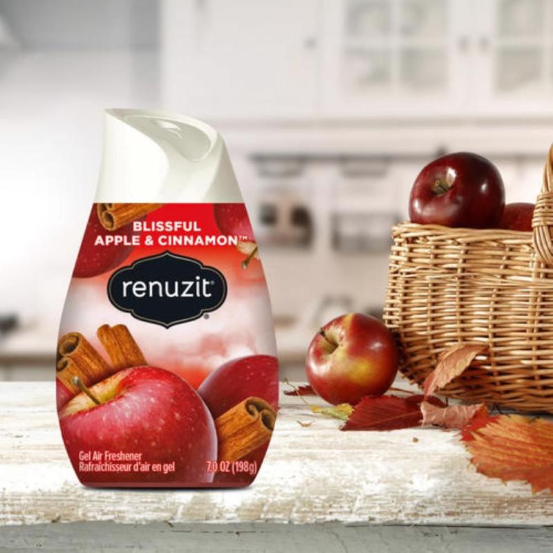 Renuzit Blissful  Apple Cinnamon Scent Air Freshener 7 oz Gel 1 pk