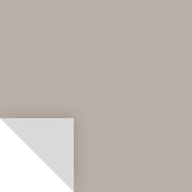 PEEL&STICK SILVER FOX