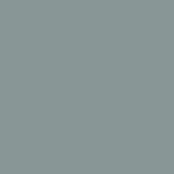 Samplize Benjamin Moore Brewster Gray Peel & Stick Color Sample HC-162