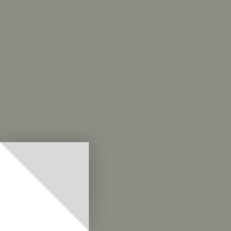 PEEL&STICK CAROLINA GULL