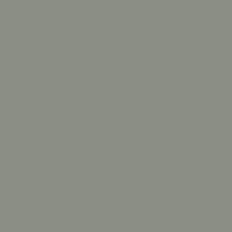 Samplize Benjamin Moore Carolina Gull Peel & Stick Color Sample 2138-40