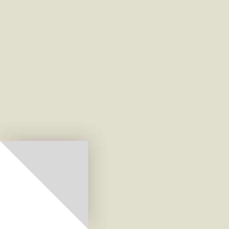 PEEL&STICK NOVEMBER RAIN