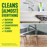 Pine-Sol Lavender Scent Concentrated Multi-Surface Cleaner Liquid 60 fl. oz.