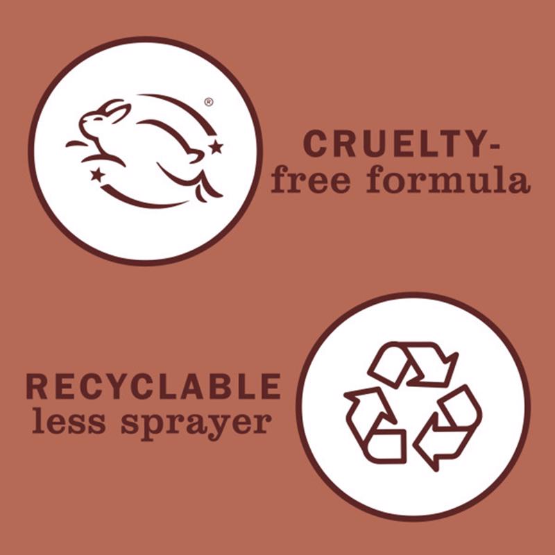 Mrs. Meyer's Clean Day Gingerbread Scent Liquid Dish Soap 16 oz 1 pk