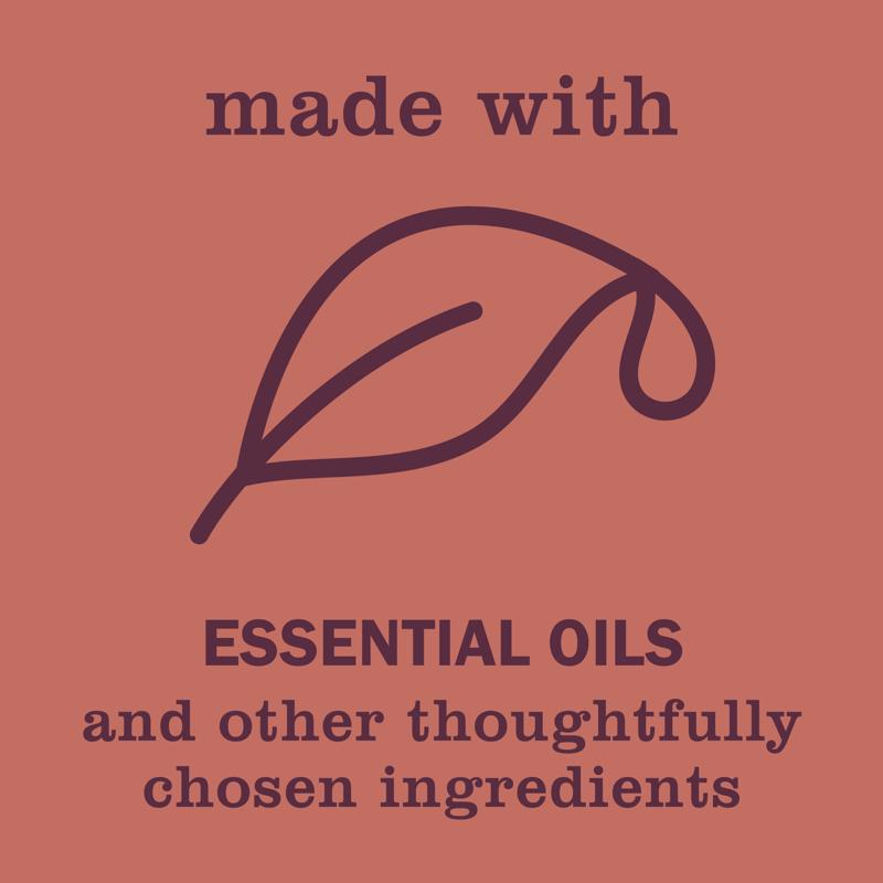 MRS. MEYER'S CLEAN DAY Dish Soap, Fall Leaves, 16 FL OZ (Pack of 6)