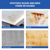 KILZ Up Shot White Flat Oil-Based Aerosol Primer/Sealer 10 oz