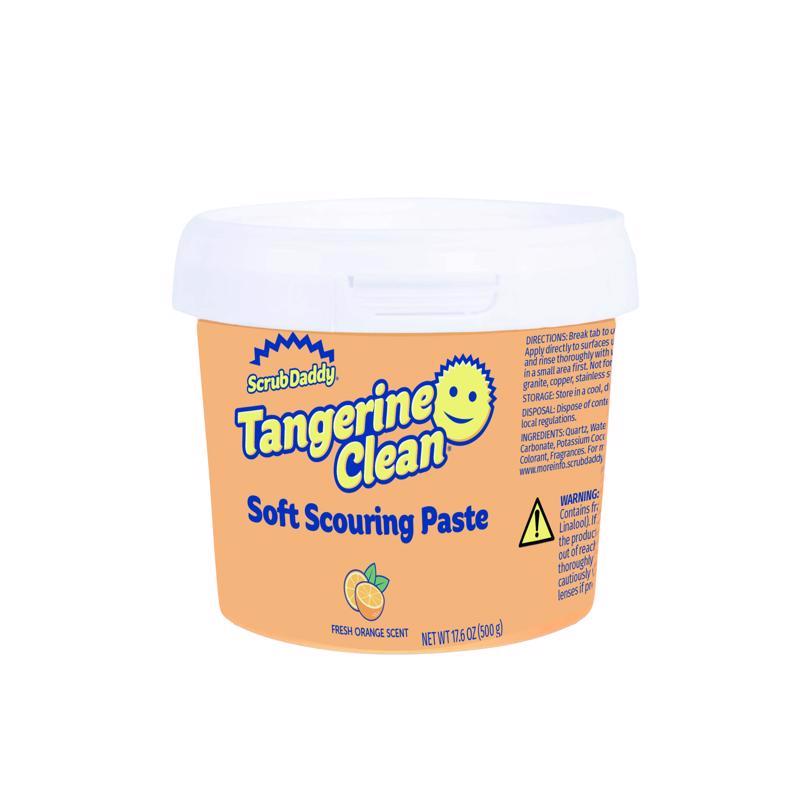 MULTI-SURFCE CLNR 17.6OZ