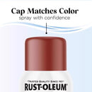 Rust-Oleum Low Odor Matte Timeless Red Spray  Paint 11 oz
