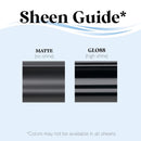 Rust-Oleum Low Odor Gloss Orange Soda Spray  Paint 11 oz