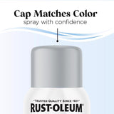 Rust-Oleum Low Odor Matte Daydreaming Spray  Paint 11 oz