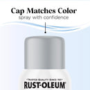 Rust-Oleum Low Odor Matte Daydreaming Spray  Paint 11 oz