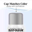 Rust-Oleum Low Odor Matte Dolphin Gray Spray  Paint 11 oz