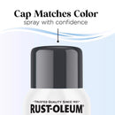 Rust-Oleum Low Odor Gloss Anchor Gray Spray  Paint 11 oz