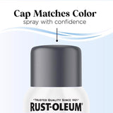 Rust-Oleum Low Odor Matte Deep Sea Spray  Paint 11 oz