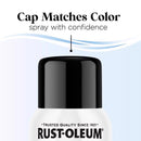 Rust-Oleum Low Odor Gloss Blackout Spray  Paint 11 oz