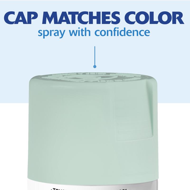 Rust-Oleum Painter's Touch 2X Ultra Cover Satin Renew Paint+Primer Spray Paint 12 oz