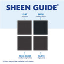 Rust-Oleum Painter's Touch 2X Ultra Cover Satin Renew Paint+Primer Spray Paint 12 oz