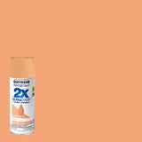 PNT+PRM STN FZY PCH 12OZ