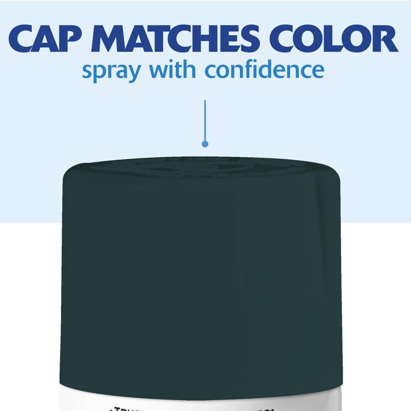 Rust-Oleum Painter's Touch Satin Deep Timber Paint+Primer Spray Paint 12 oz