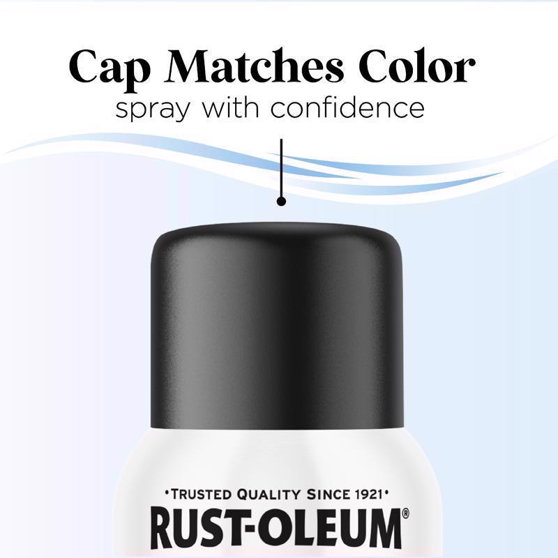 Rust-Oleum Low Odor Matte Blackout Spray  Paint 11 oz