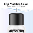 Rust-Oleum Low Odor Matte Blackout Spray  Paint 11 oz