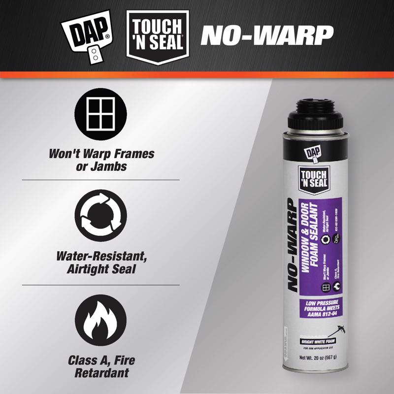 DAP Touch 'n Seal Bright White Foam Foam Sealant 20 oz