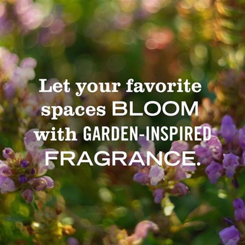 Mrs. Meyer's Clean Day Rain Water Scent Air Freshener Starter Kit 0.67 oz Liquid 1 pk